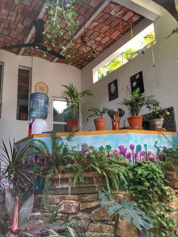 Palapa Chili # Villa ซายูลิตา ภายนอก รูปภาพ